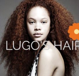 Kinky Straight - Loose/Braids